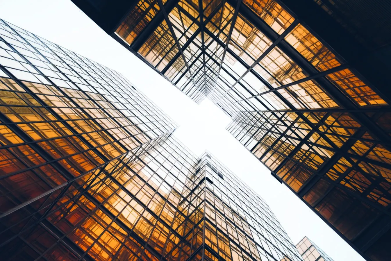 Architectural structure seen from below